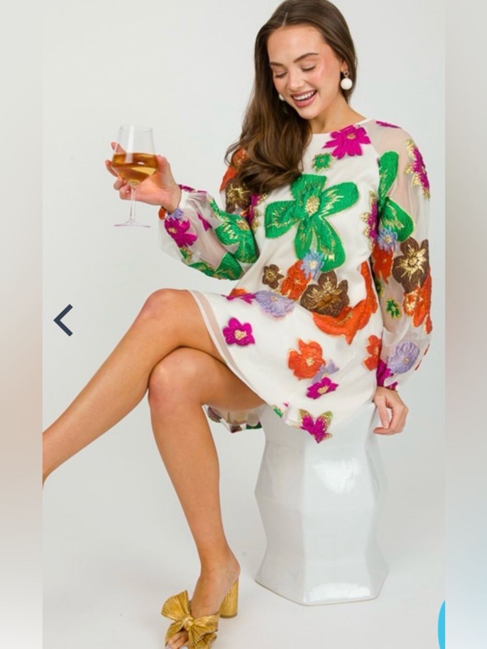Colorful Floral Mini Dress with Sheer Sleeves Brocade Flowers Dress, Cream Multi